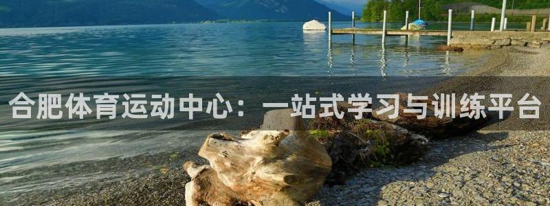 JJB竞技宝官方正版app集团官网首页网址:合肥体育运动中心