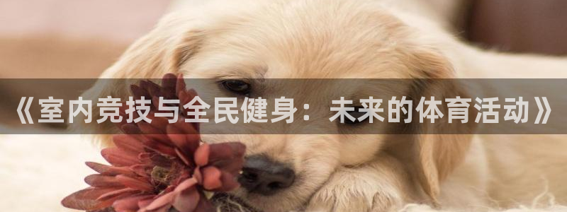 JJB竞技宝官网下载平台是正规平台吗知乎:《室内竞技与全民健